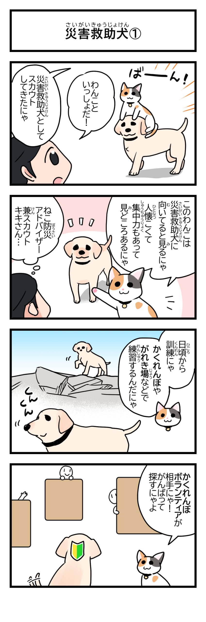 災害救助犬①