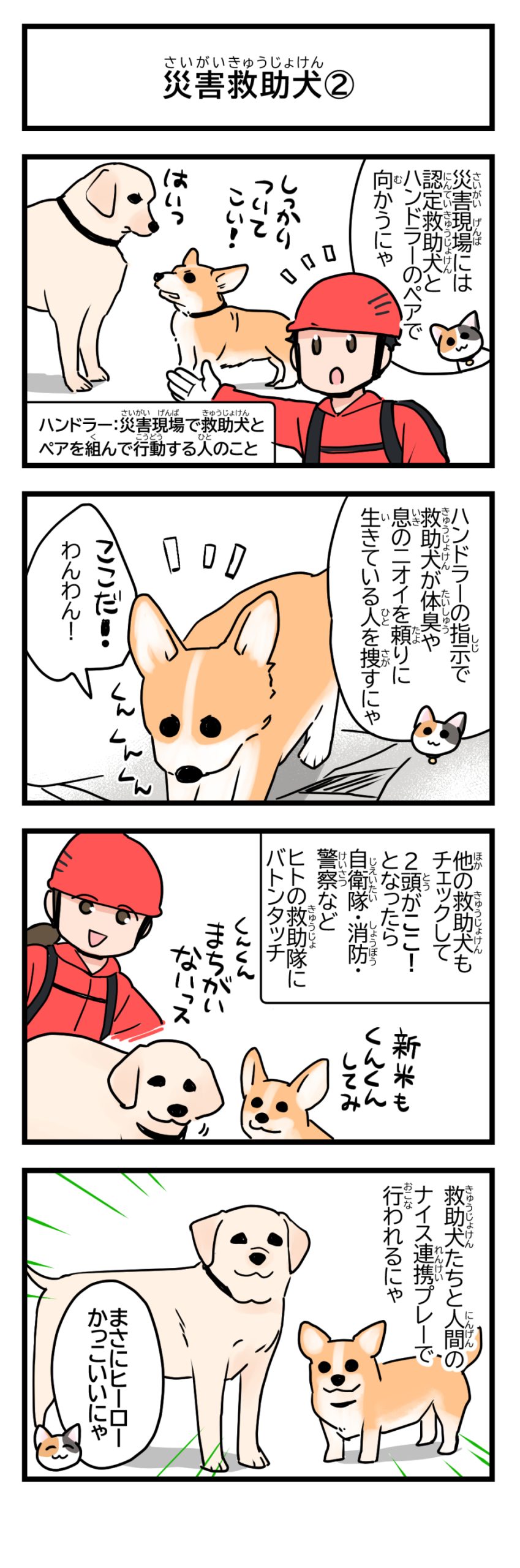 災害救助犬②